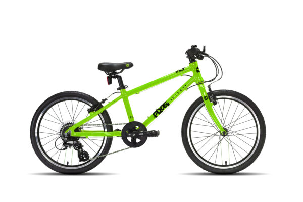 FROG_55_GREEN FROG_55_GREEN
