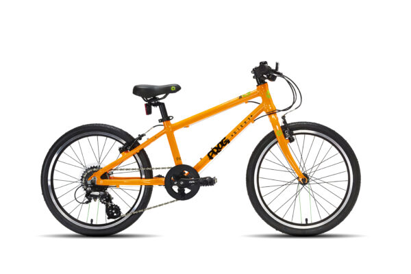 FROG_55_ORANGE FROG_55_ORANGE