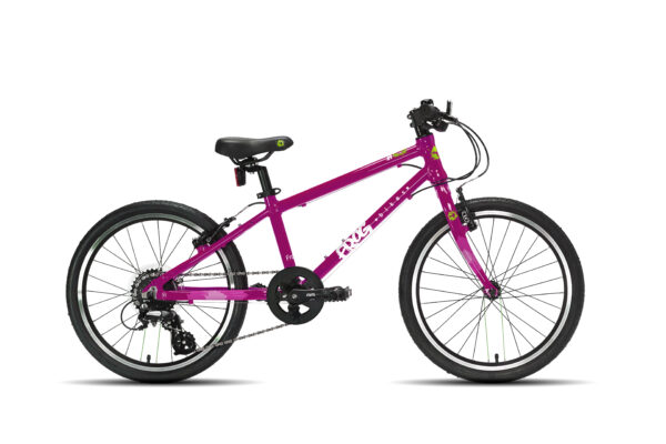 FROG_55_PINK FROG_55_PINK